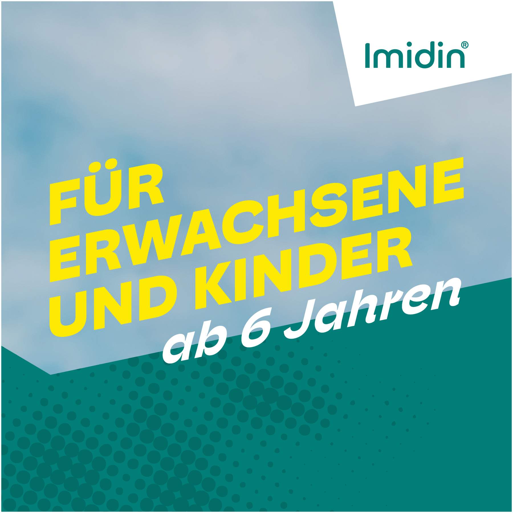 Imidin N Nasenspray 15 ml