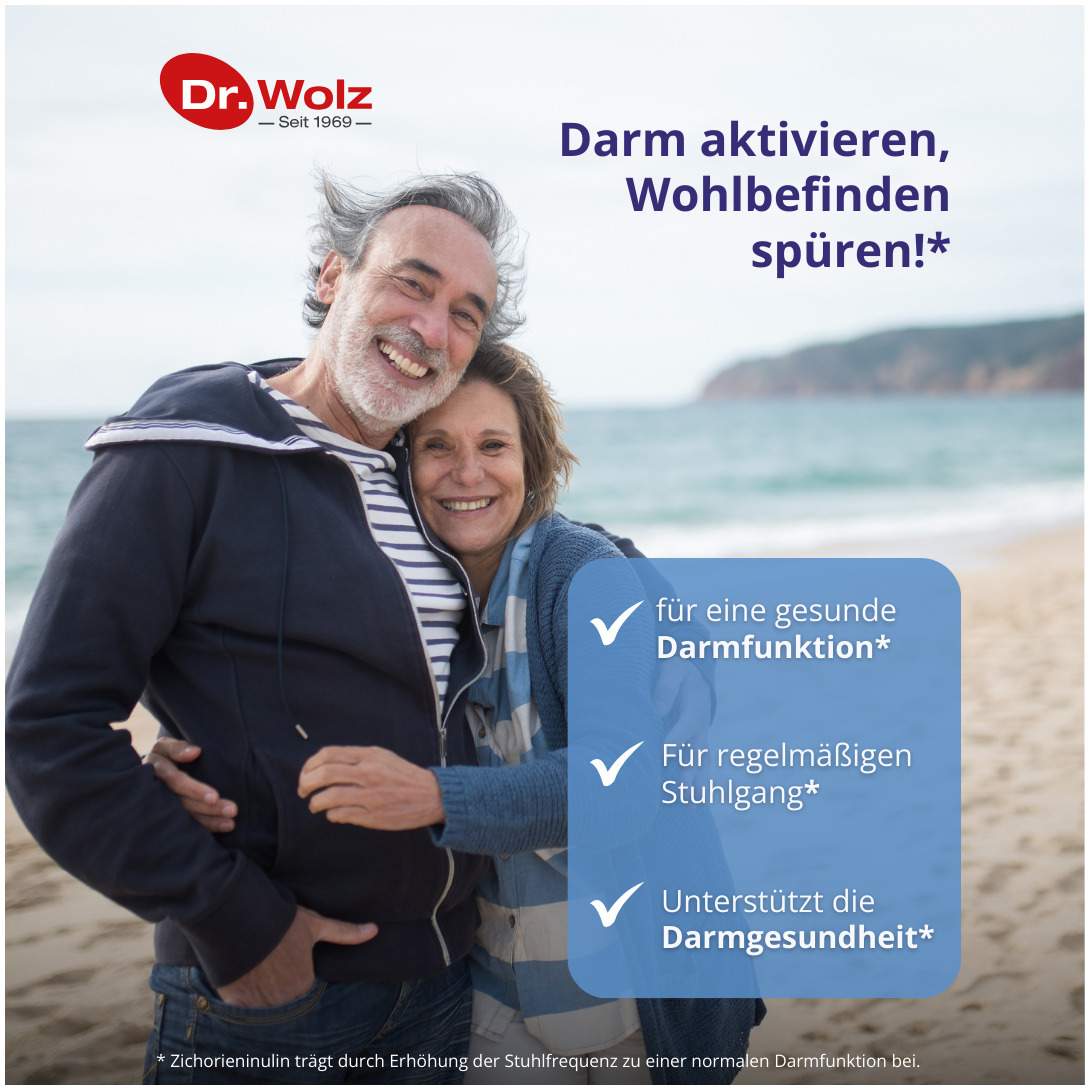Darm Activ Dr.Wolz 400 G Pulver