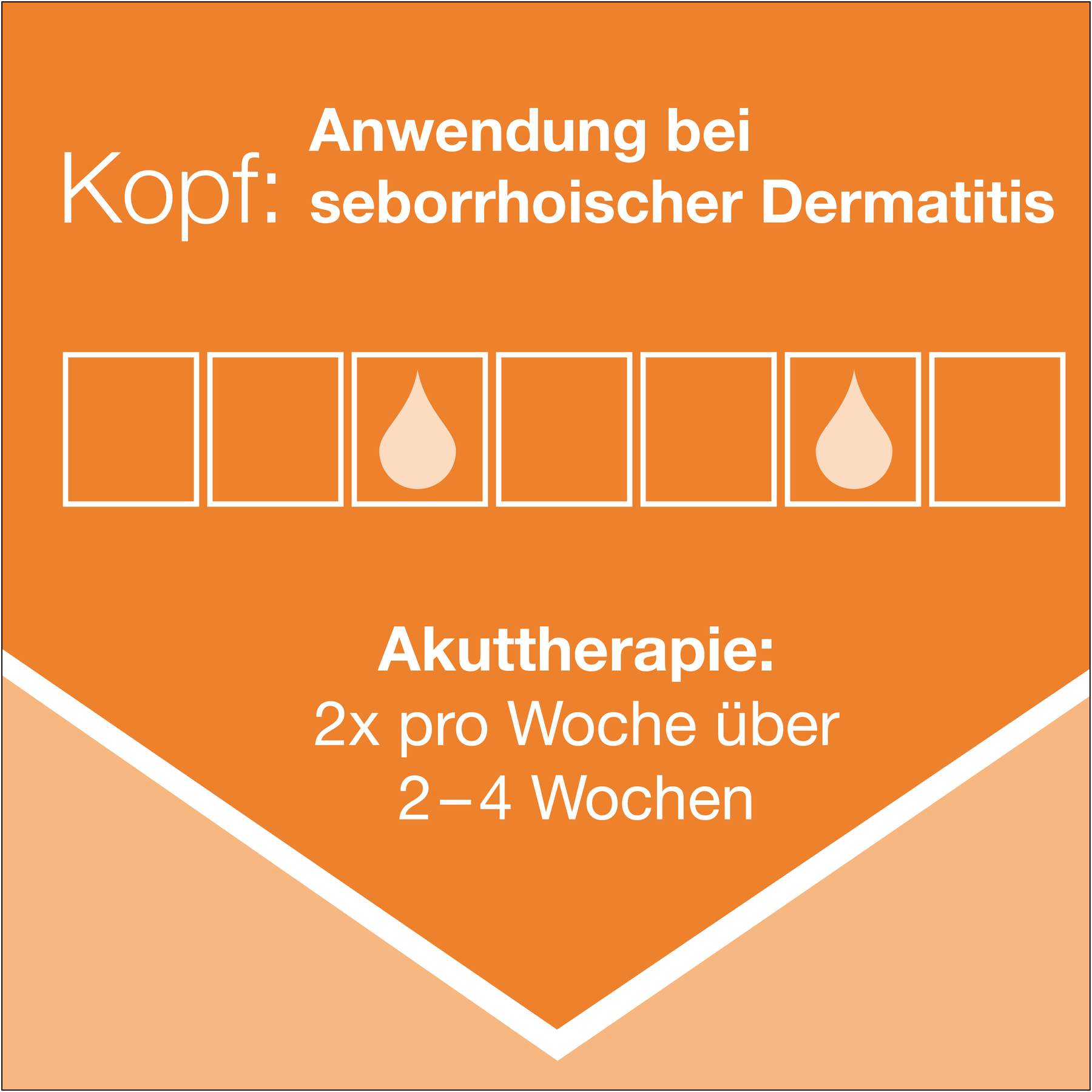Ketozolin 2 % Shampoo 120 ml