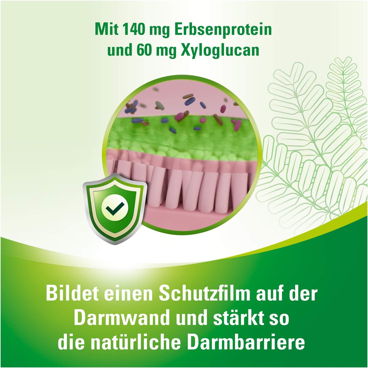 Lefaxan Protect 30 Hartkapseln