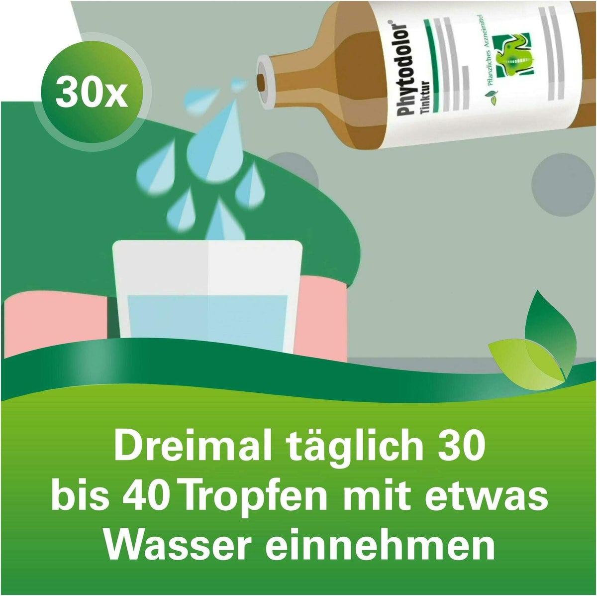Phytodolor 100 ml Tinktur