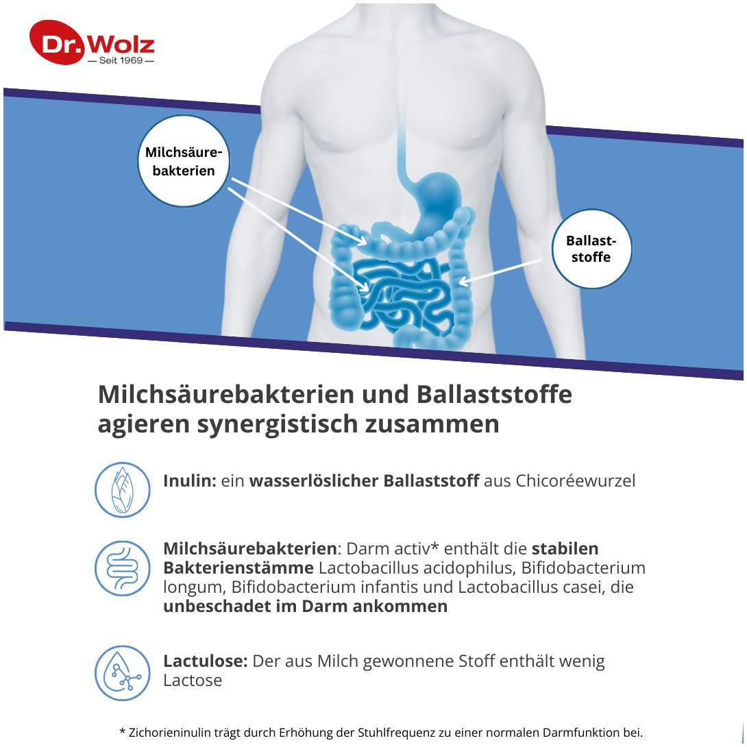 Darm Activ Dr.Wolz 400 G Pulver