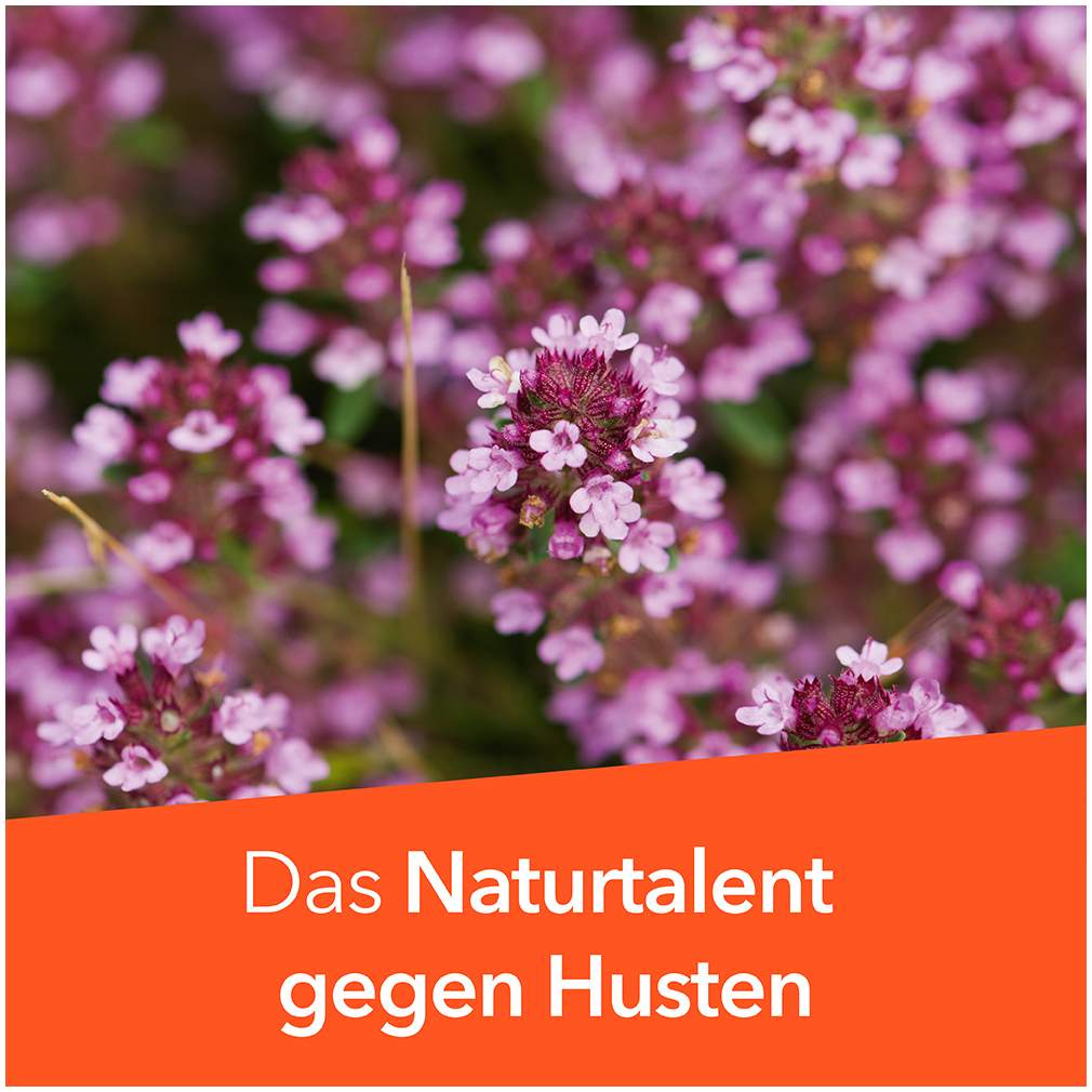 Tussamag Hustensaft N 175 g Saft zuckerfrei