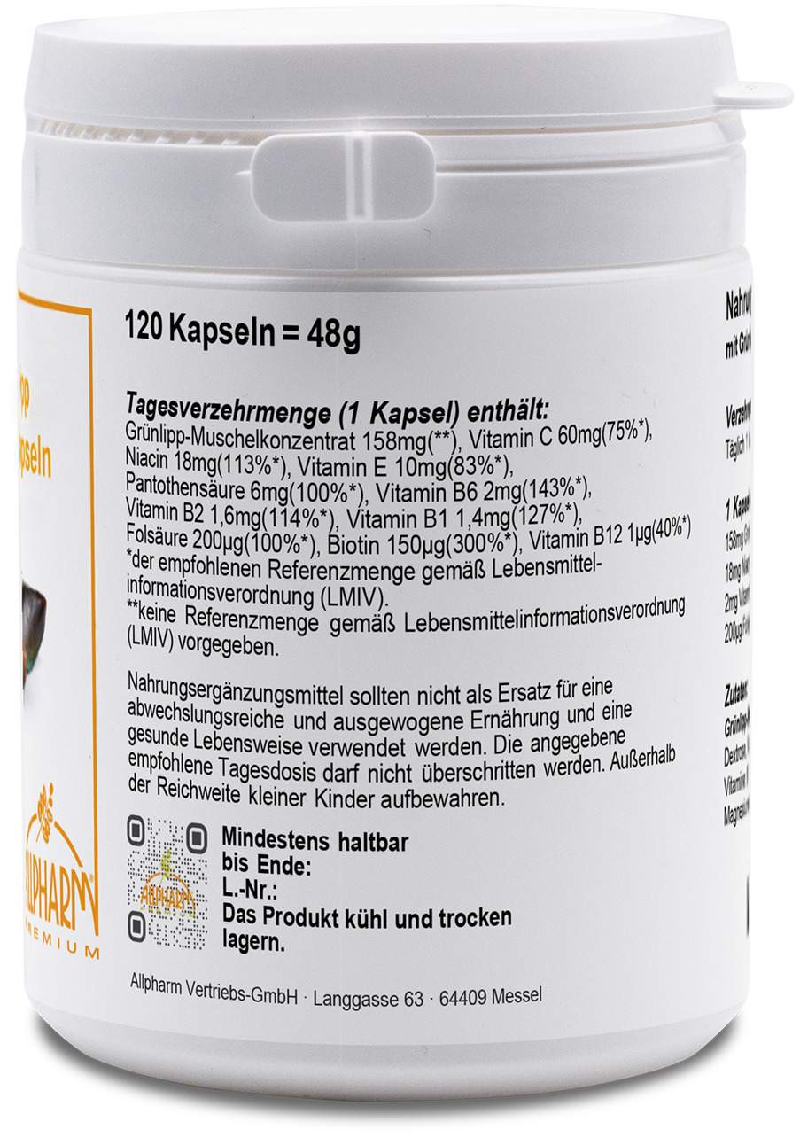 Grünlipp Muschel Konzentrat 120 Kapseln