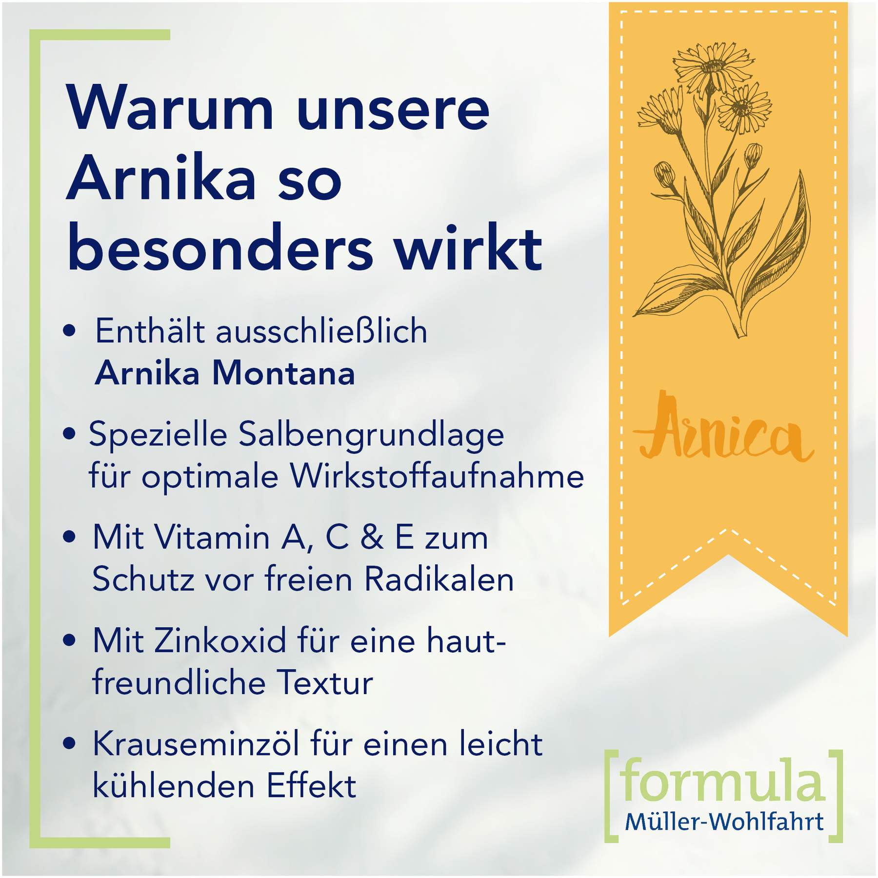 Profelan Salbe nach Müller-Wohlfahrt 100 g