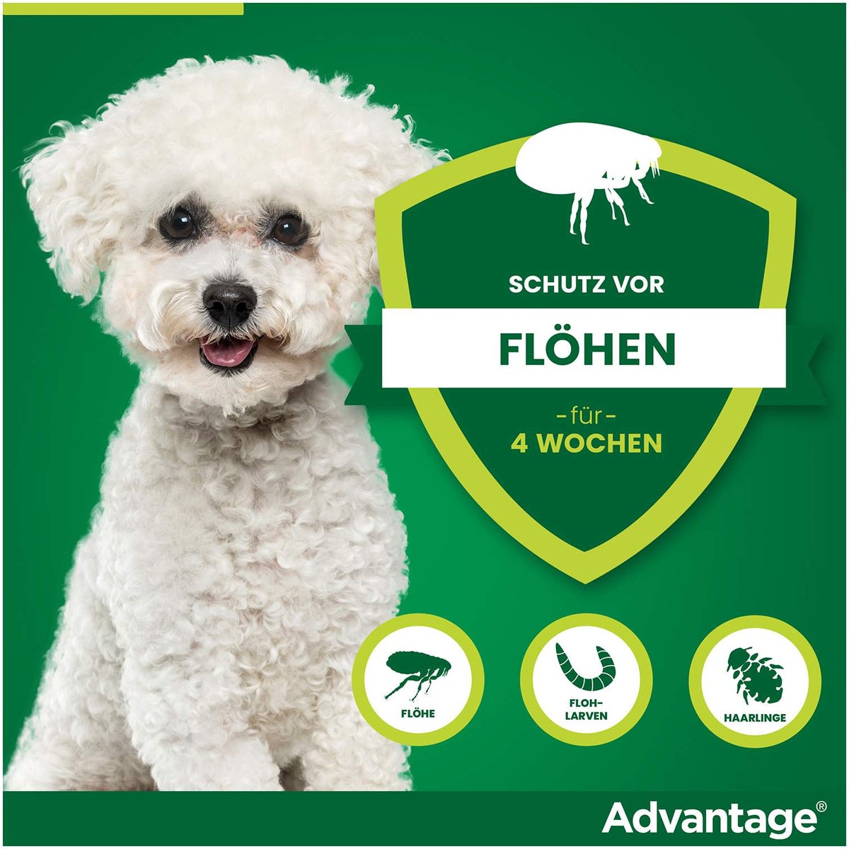 Advantage 100 Lösung für Hunde 4 - 10 kg 4 Einzeldosispipetten