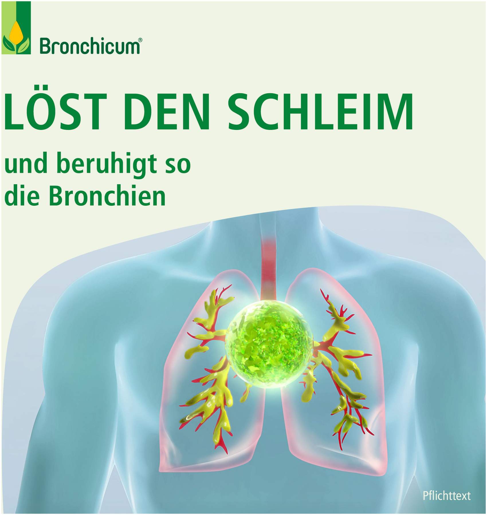 Bronchicum Tropfen 50 ml