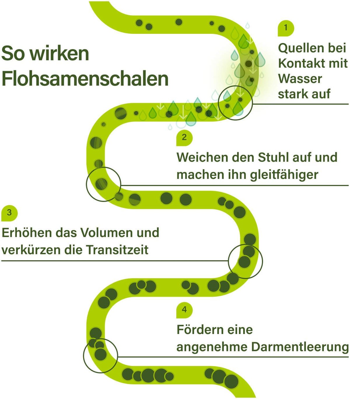 Nupure Colon Pure Transit Pulver Flohsamenschalen 180 G