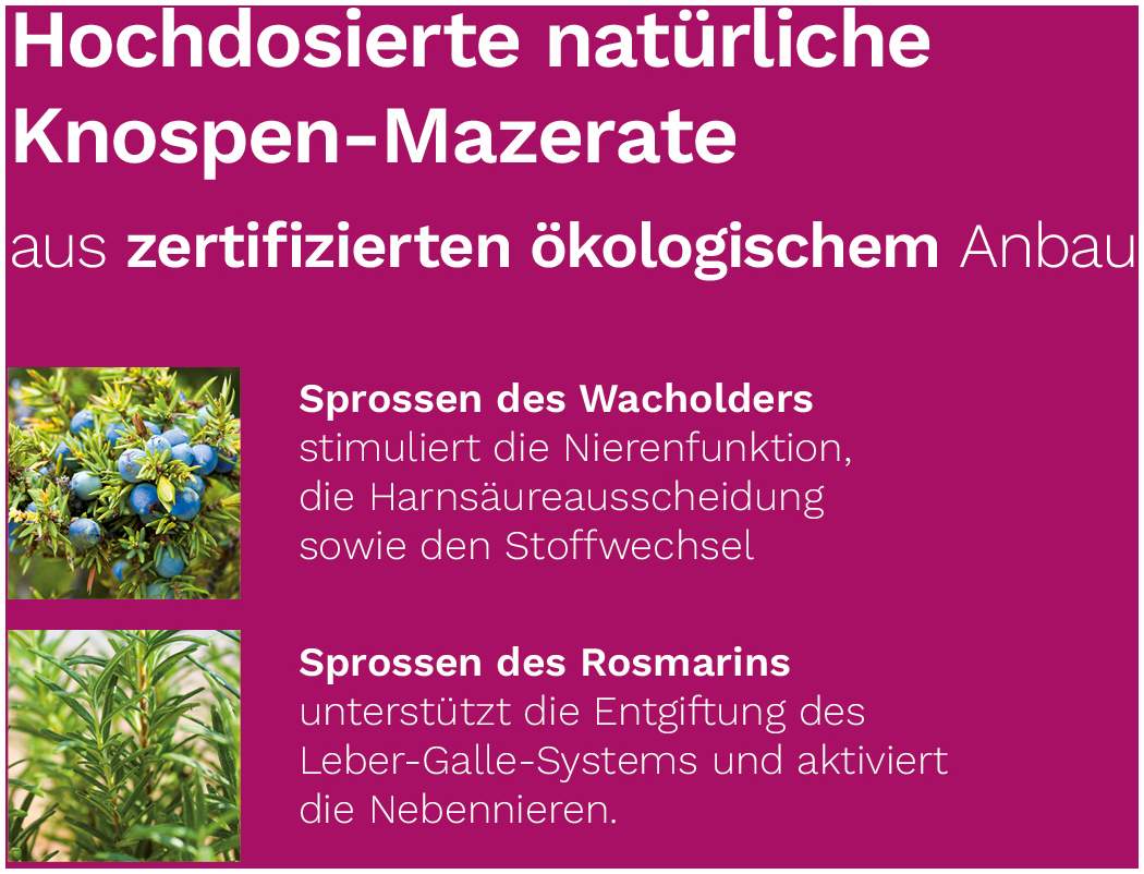 Detox Plus Dr.Koll 50 ml Tropfen