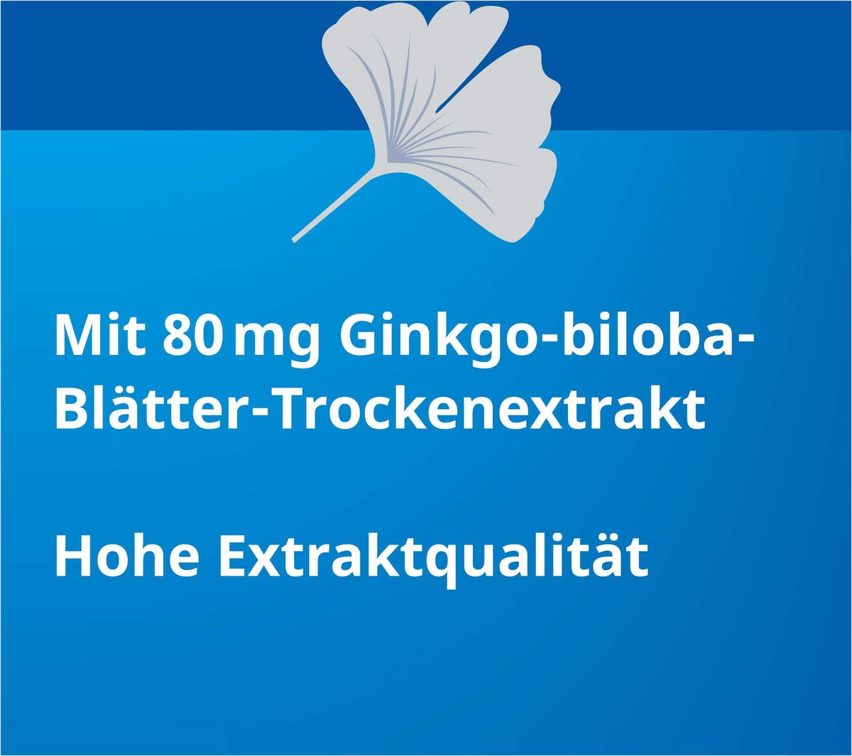 Ginkgo Stada 80 mg 60 Filmtabletten