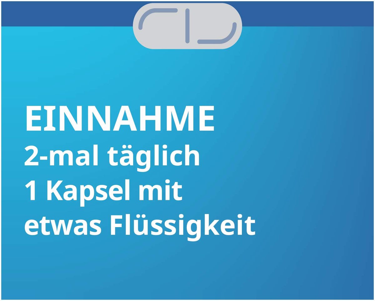 Silymarin Stada 156 mg 30 Hartkapseln