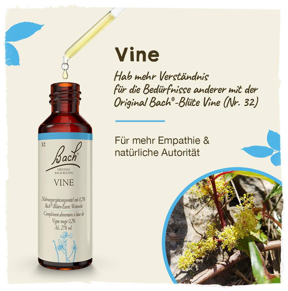 Bachblüten Vine 20 ml Tropfen