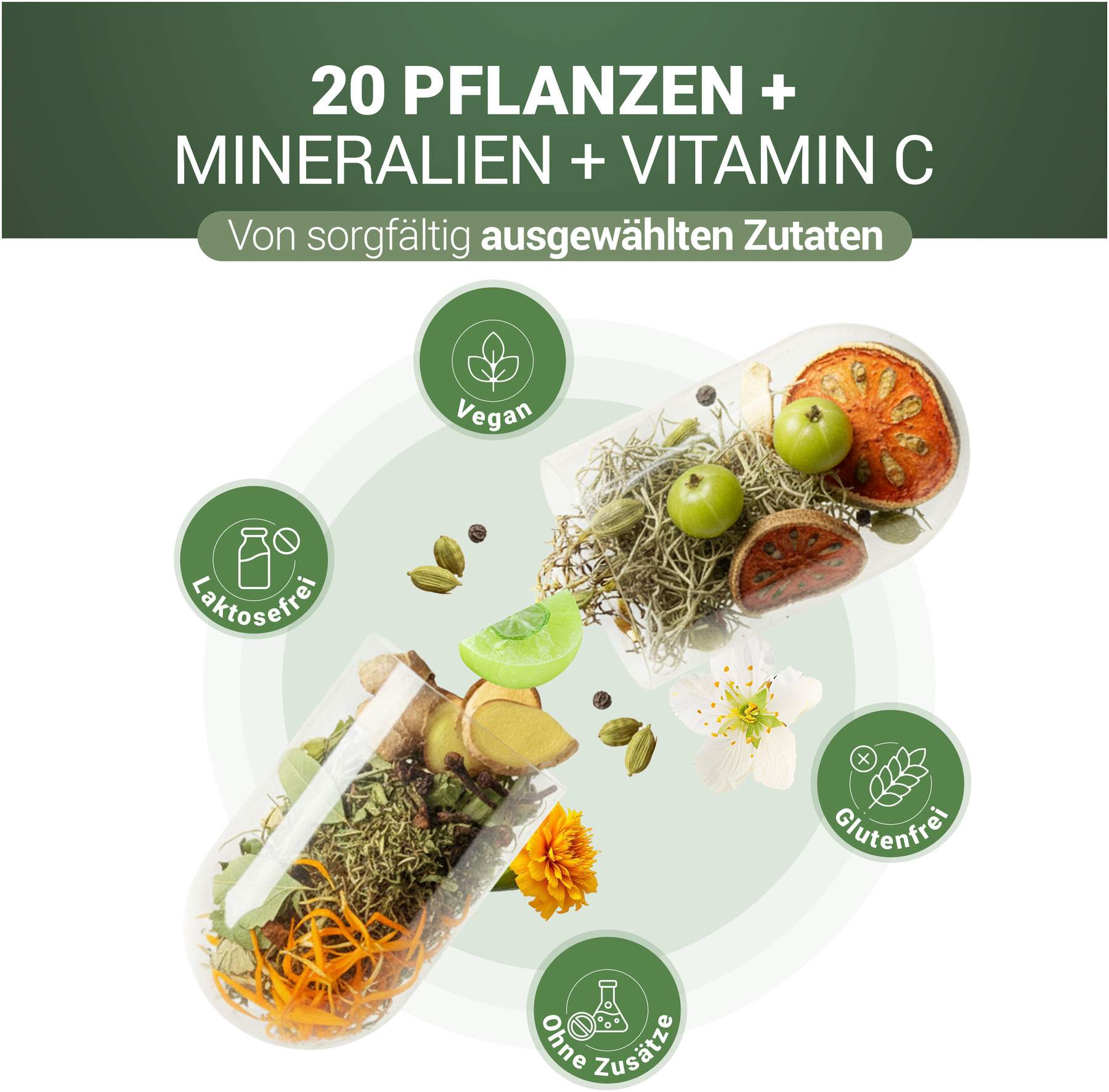 Padma 28 Active 200 Kapseln