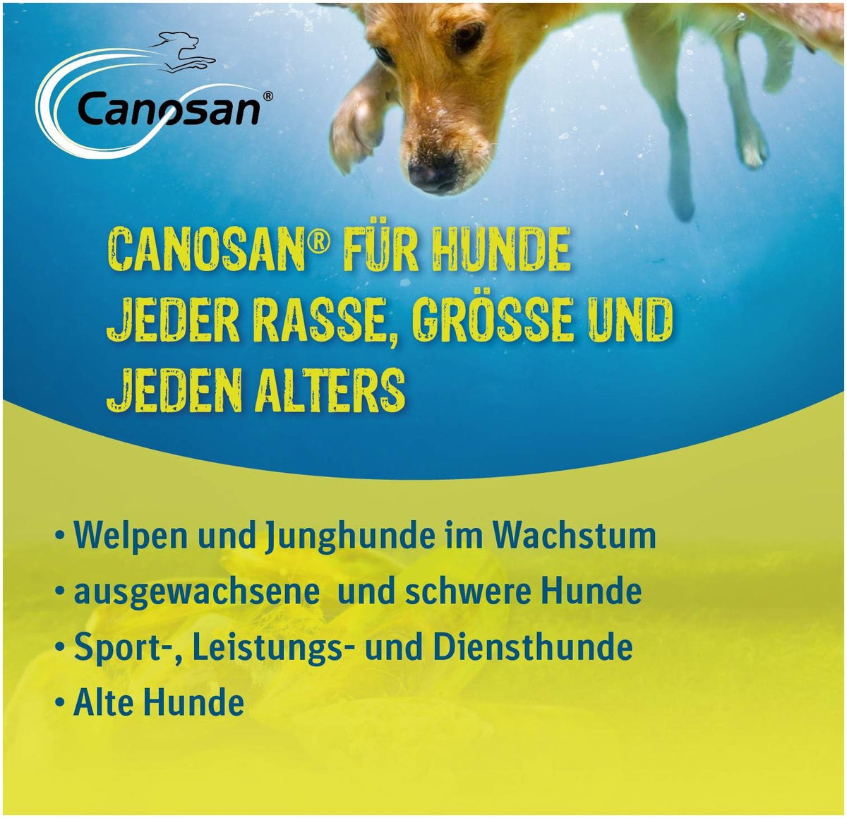 Canosan vet. 30 Kautabletten