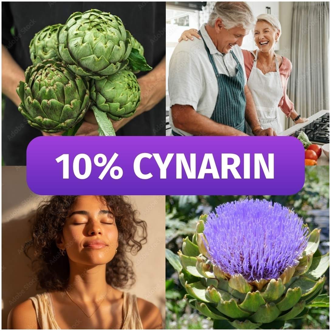 Green Naturals Artischocke 2600 mg mit 10% Cynarin 240 Kapseln