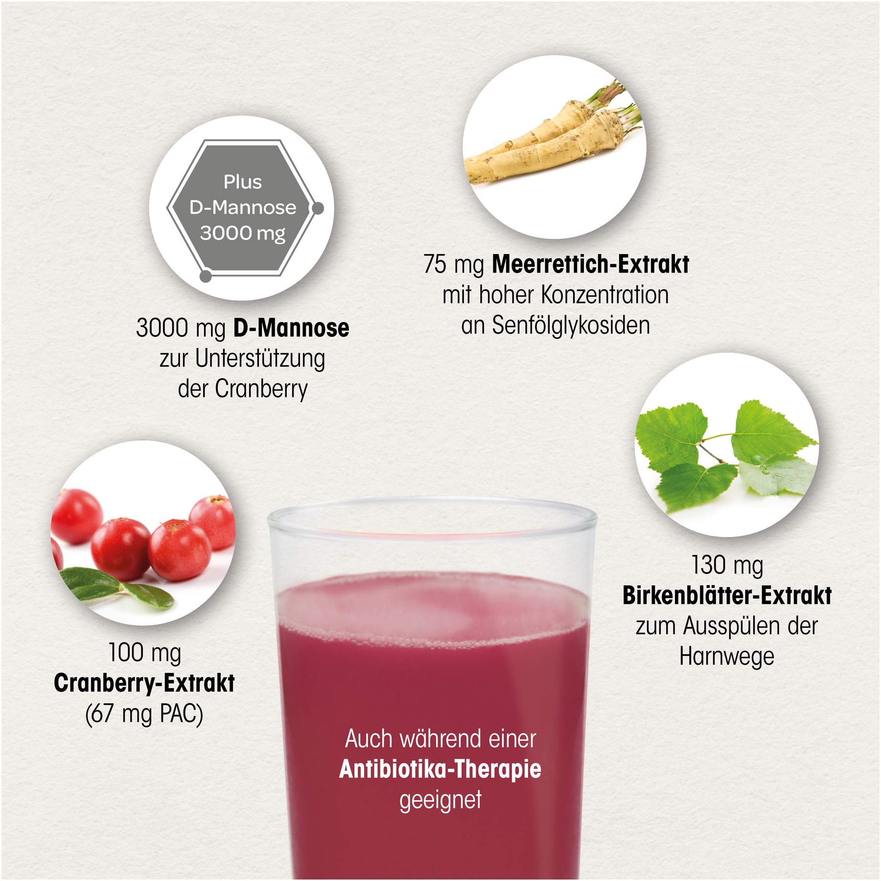 Dr. Böhm Cranberry Plus Granulat 10 Sachets