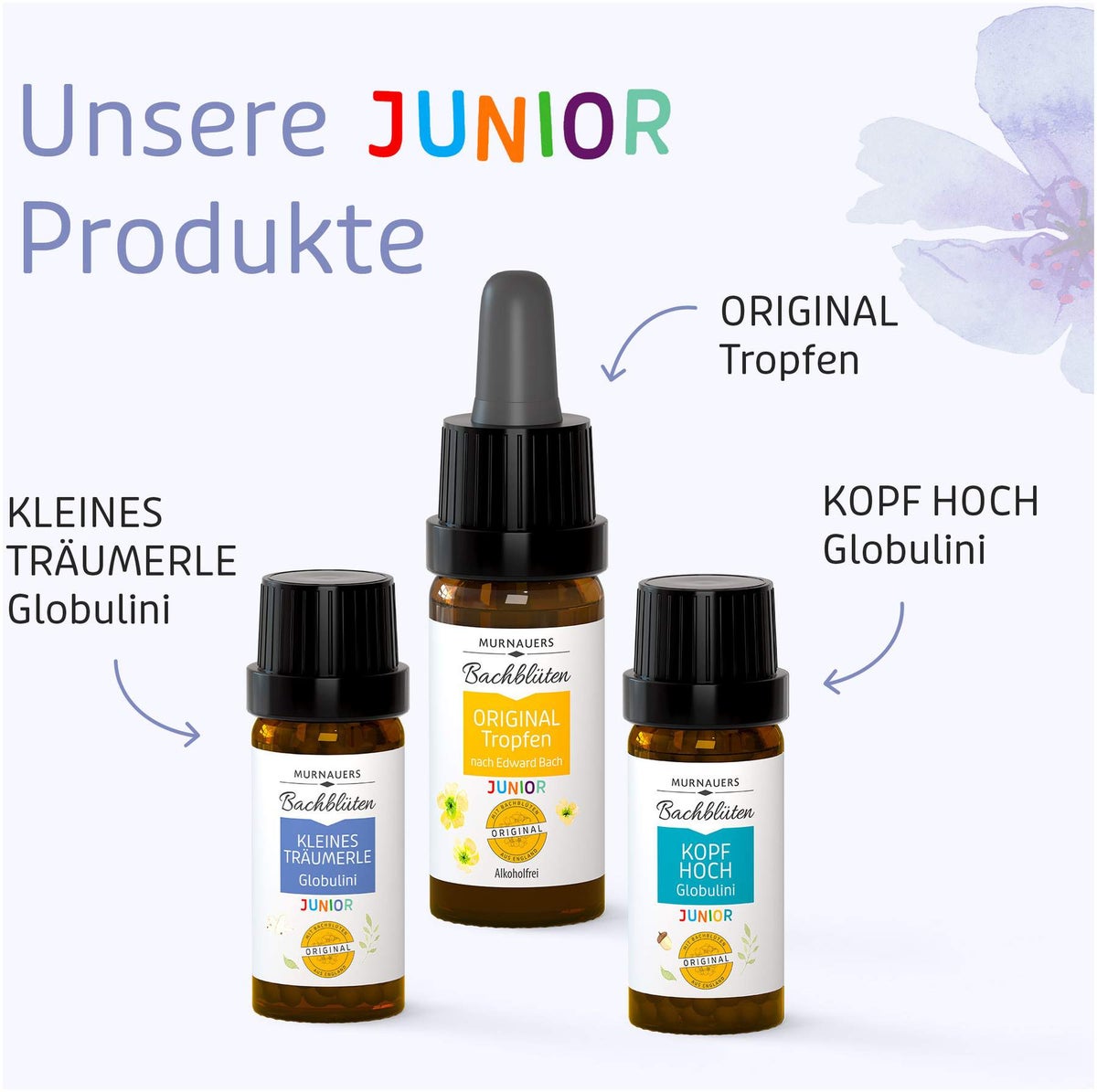 Bachblüten Kinder Kleines Träumerle 10 G Globulini Nach Dr.Bach