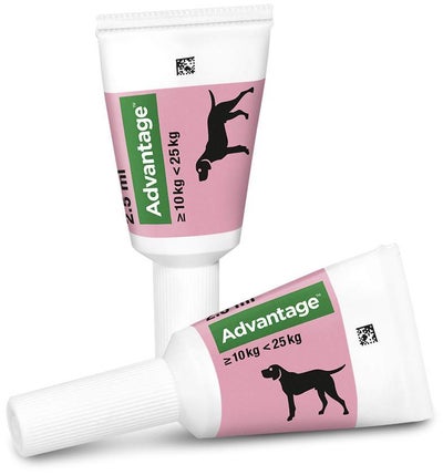 Advantage 250 Lösung für Hunde 10 - 25 kg 4 Einzeldosispipetten