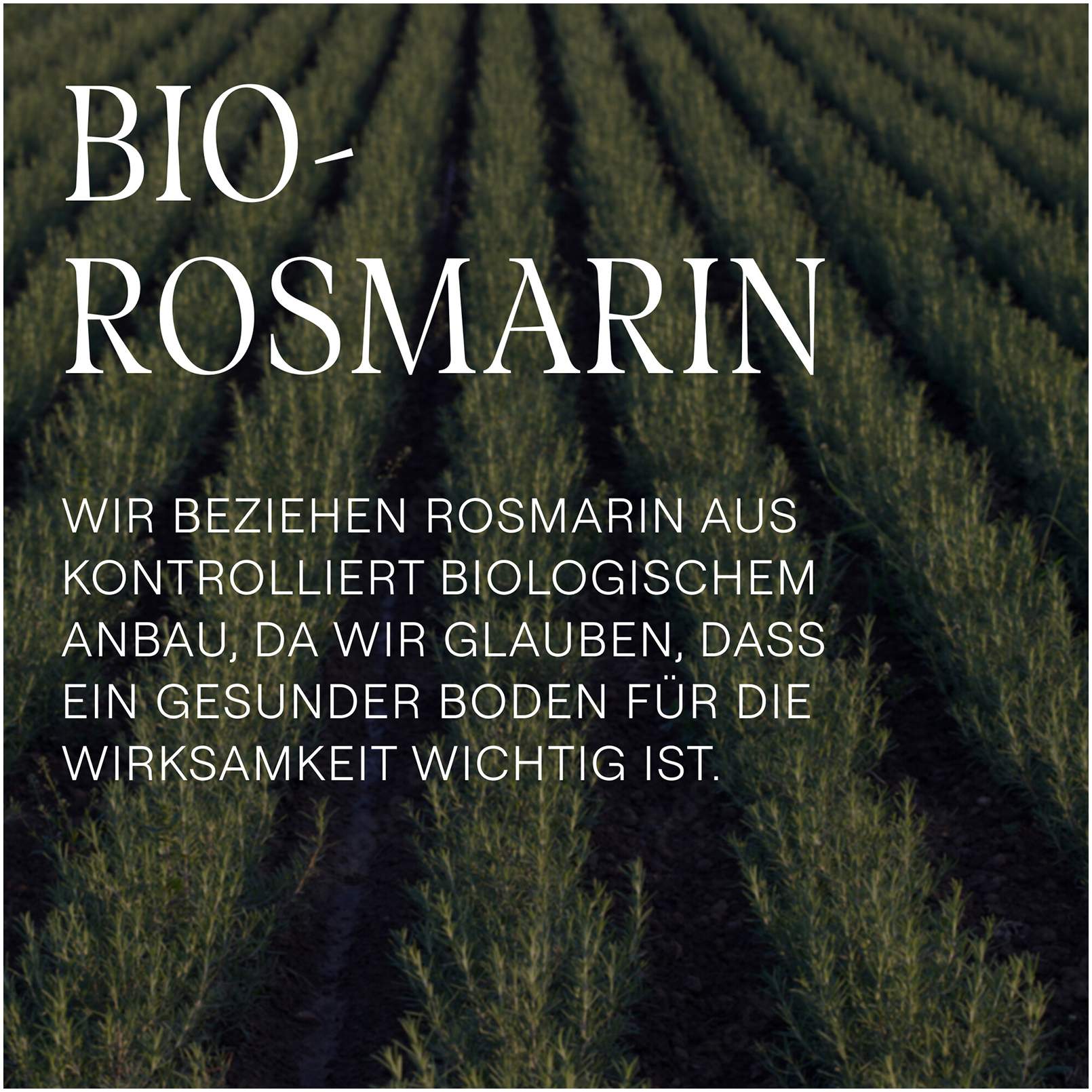 Weleda Vitalisierendes Rosmarin Shampoo 400 ml