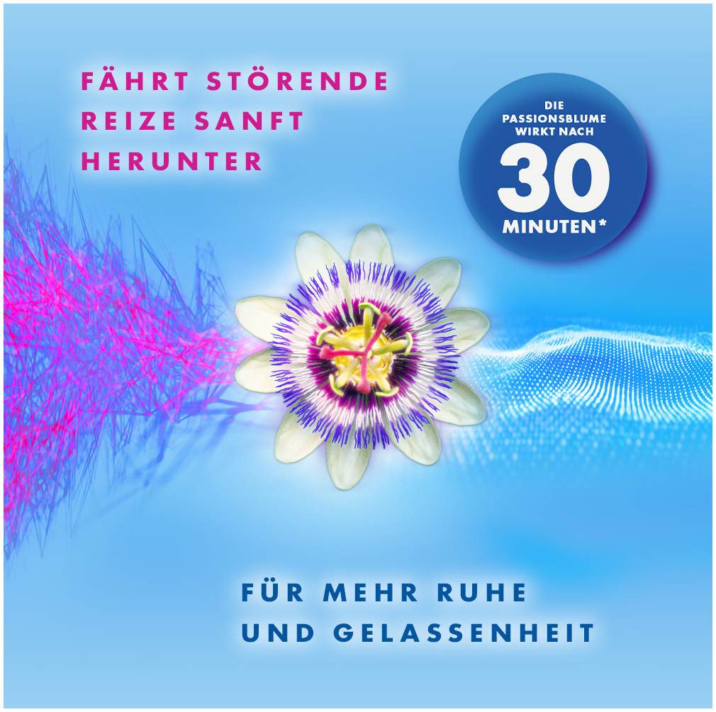 Lioran classic für Nacht und Tag 80 Hartkapseln