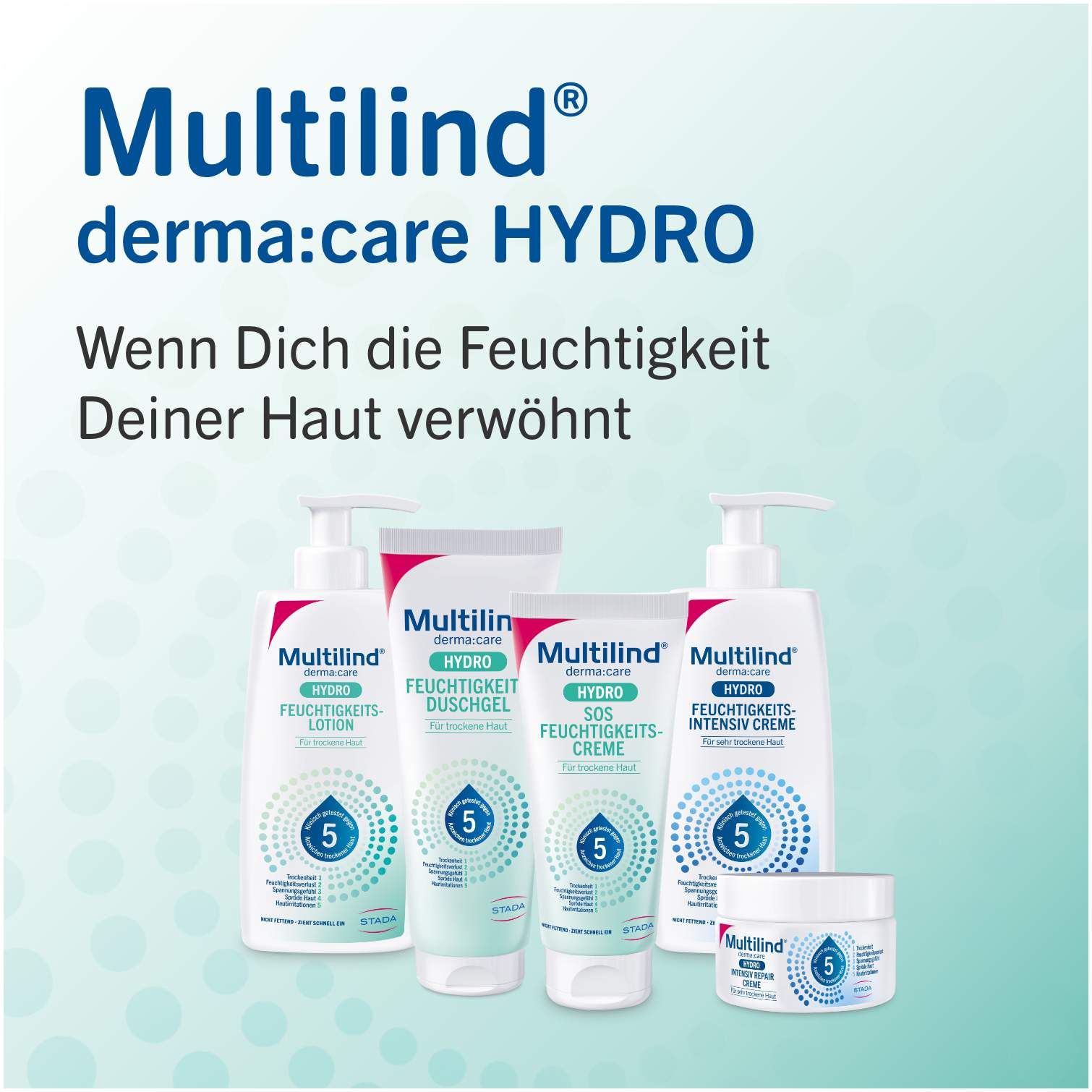 Multilind DermaCare Hydro Feuchtigkeits-Intensiv Creme 250 ml