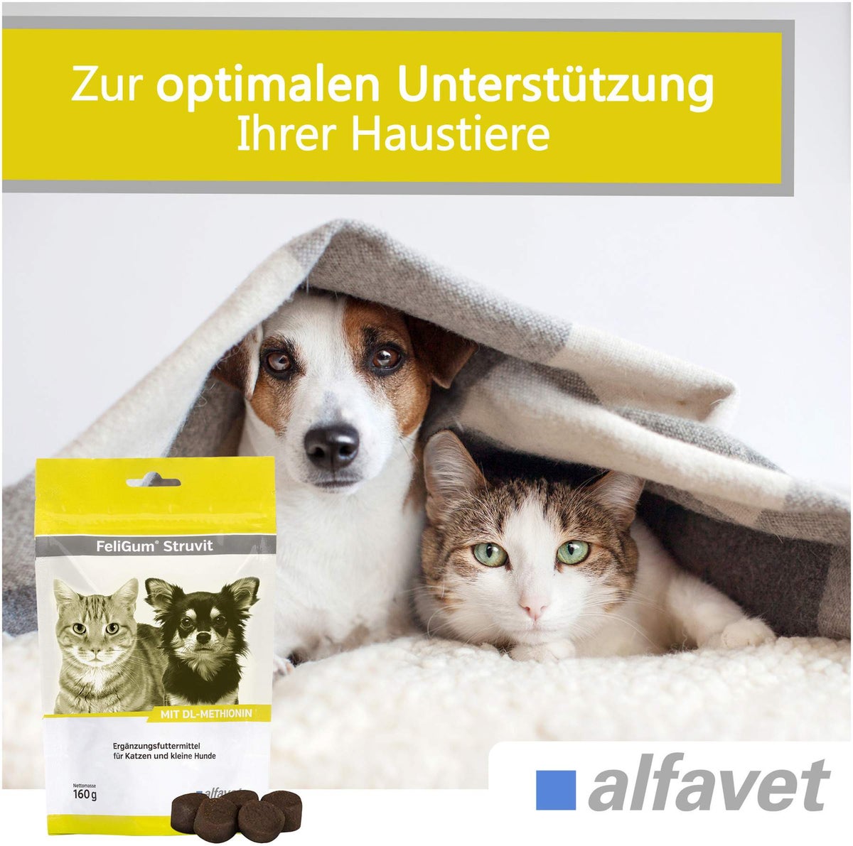 FeliGum Struvit 80 Kaudrops für Katzen und kleine Hunde
