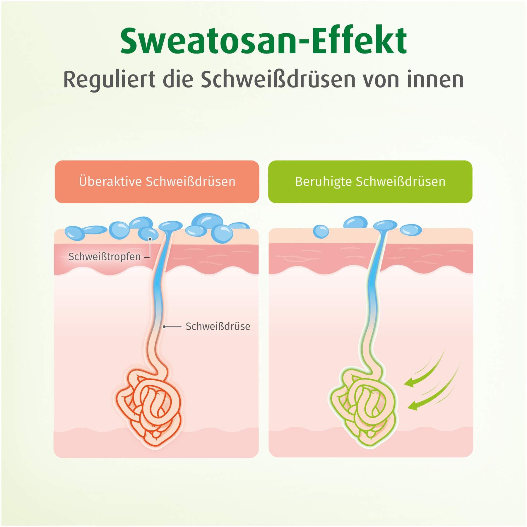 Sweatosan 50 Überzogene Tabletten