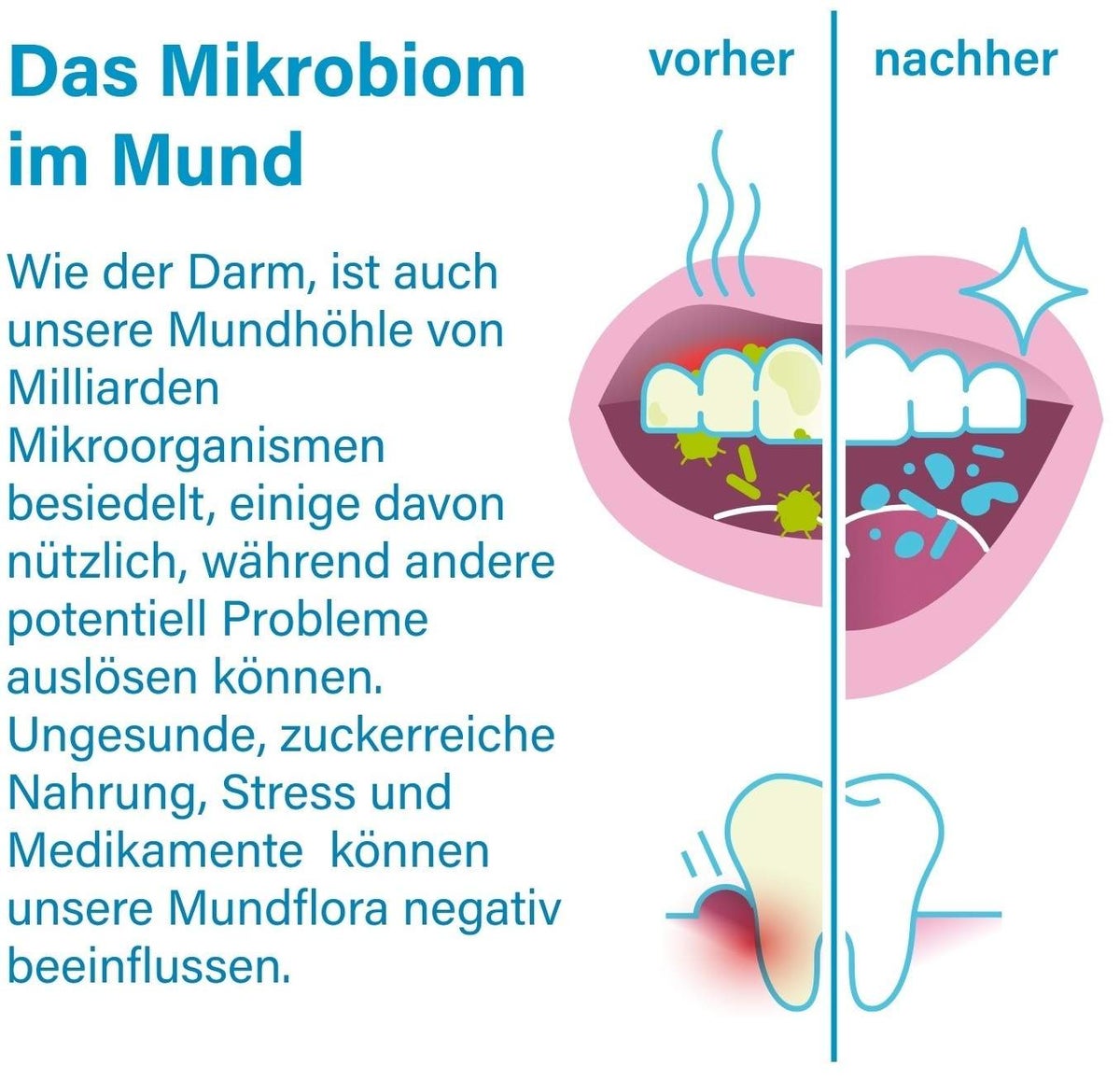 nupure probadent Probiotikum 30 Lutschtabletten