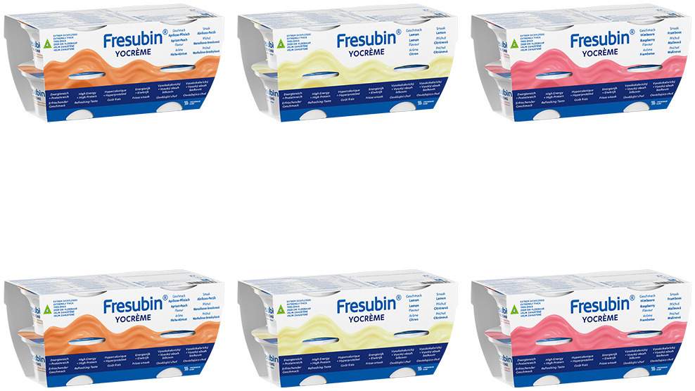 Fresubin Yocreme Mischkarton   24x125 G