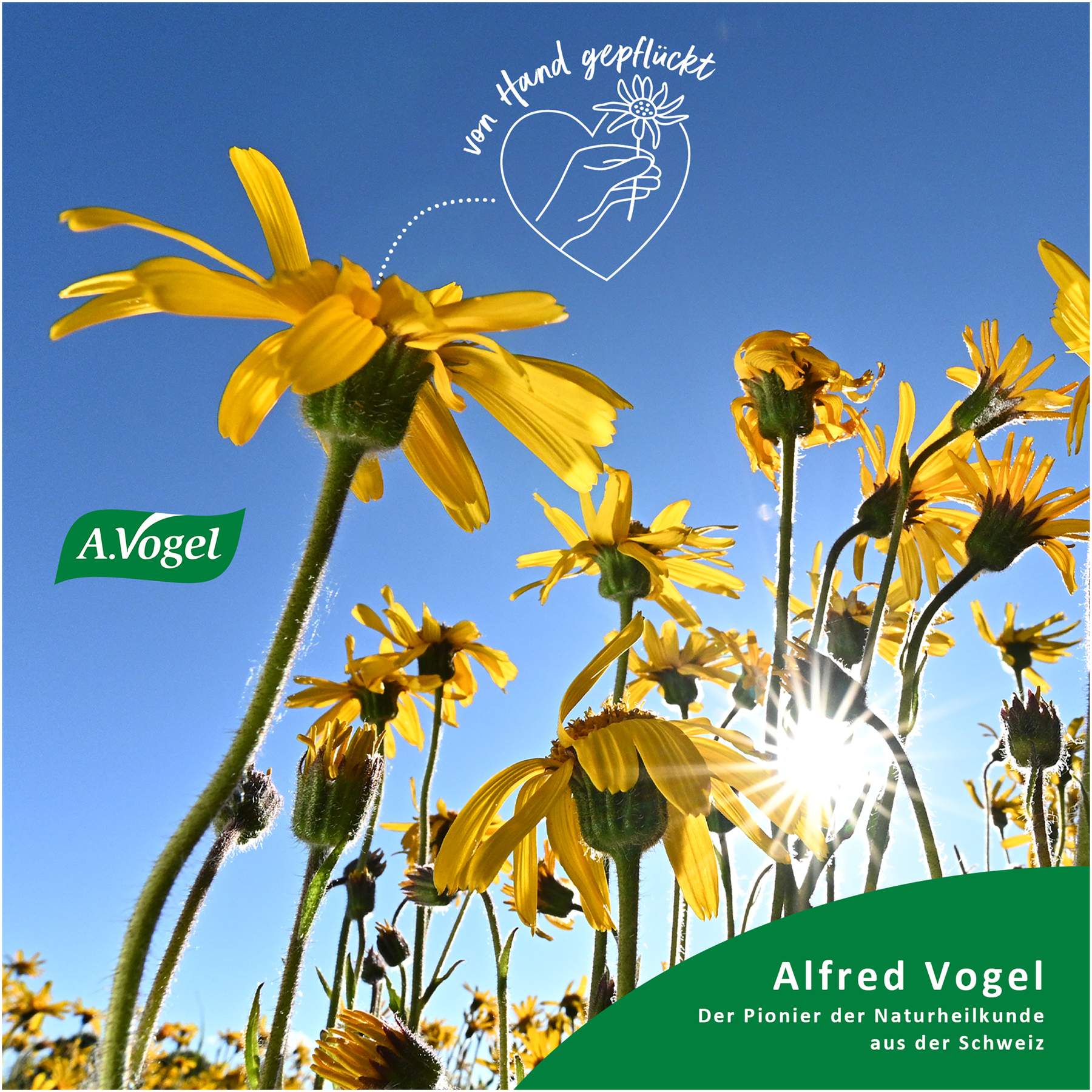 A.Vogel Atrosan Arnika Forte Gel 100 ml
