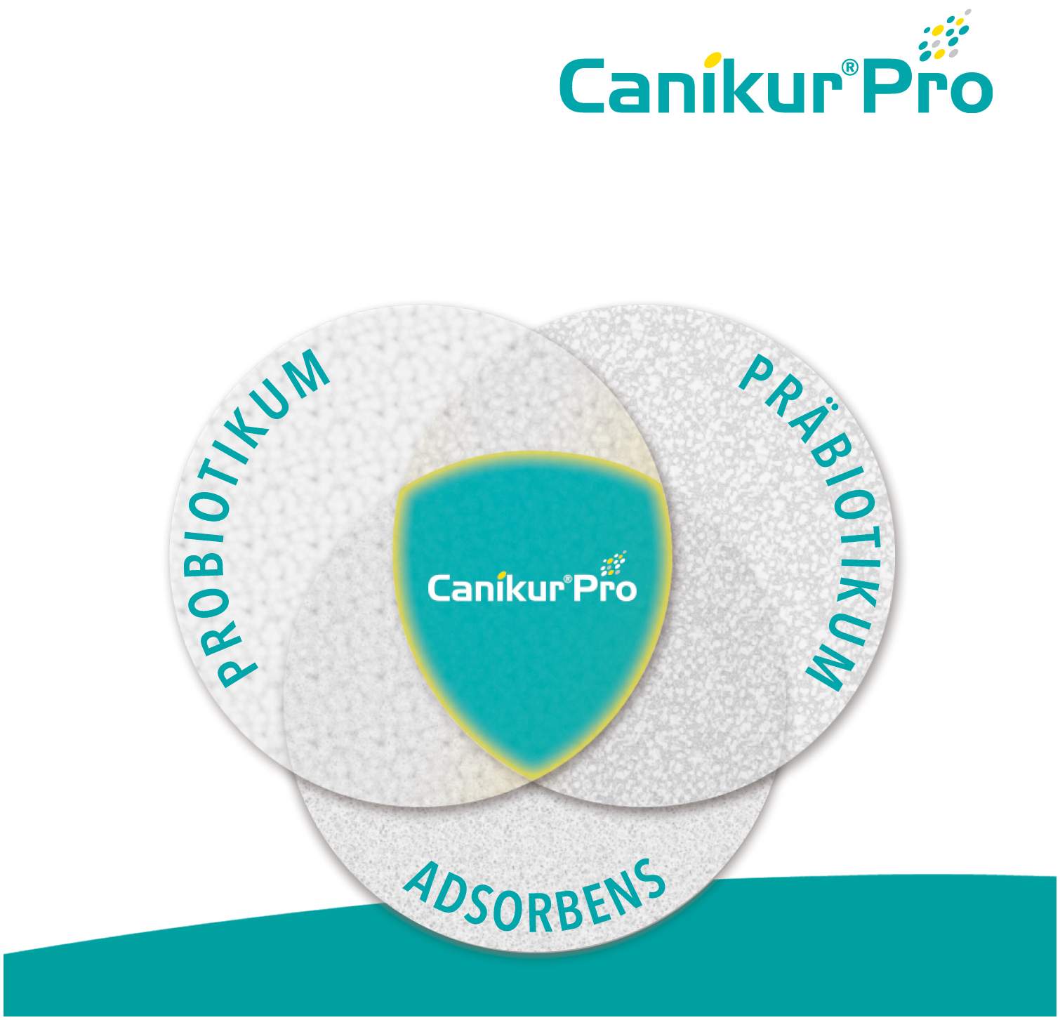 Canikur Pro vet. 60 ml Paste