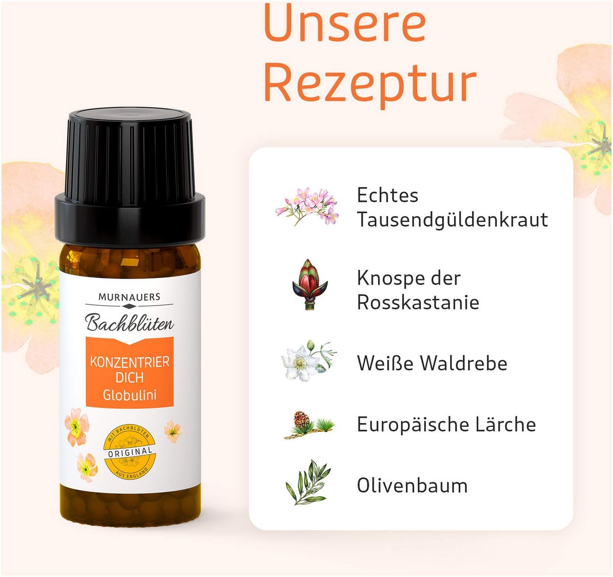 Bachblüten Konzentrier Dich 10 G Globulini