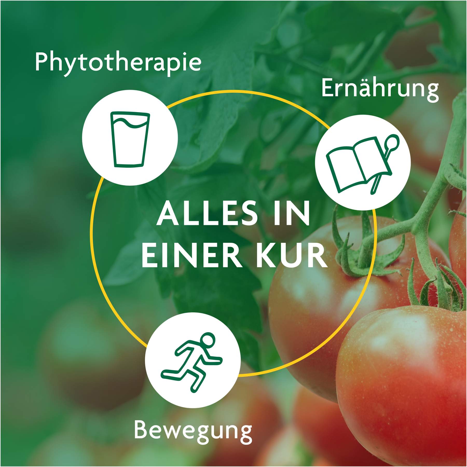Schlankheitskur Würzige Tomate Bio Schoenenberg