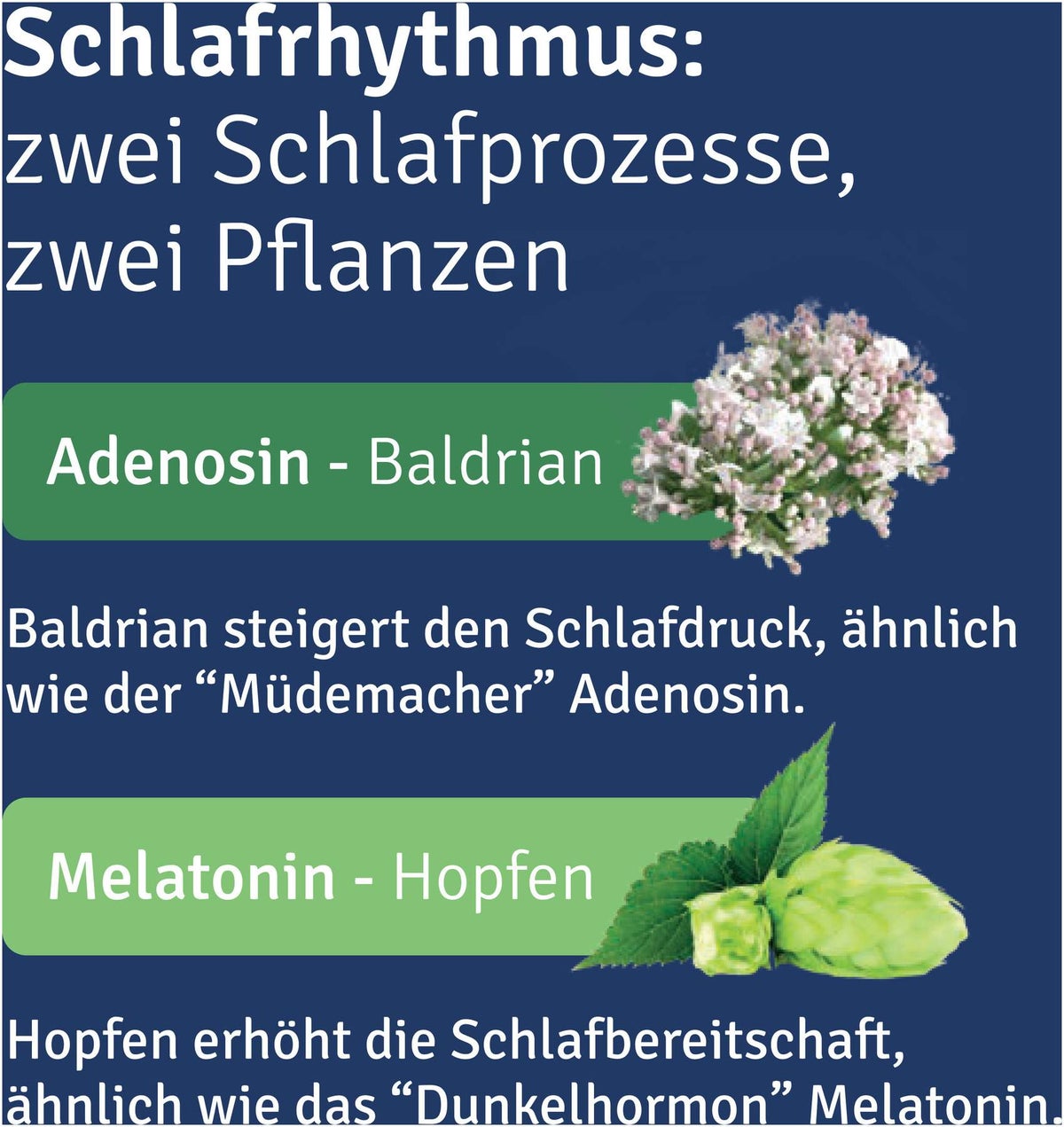 Alluna Schlaf Filmtabletten 20 Stück