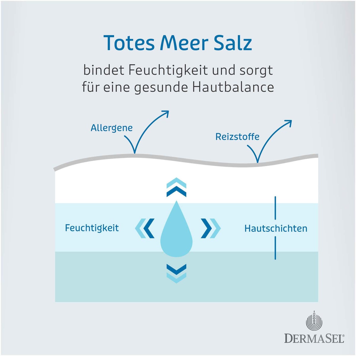 Dermasel Totes Meer Badesalz pur 500 g