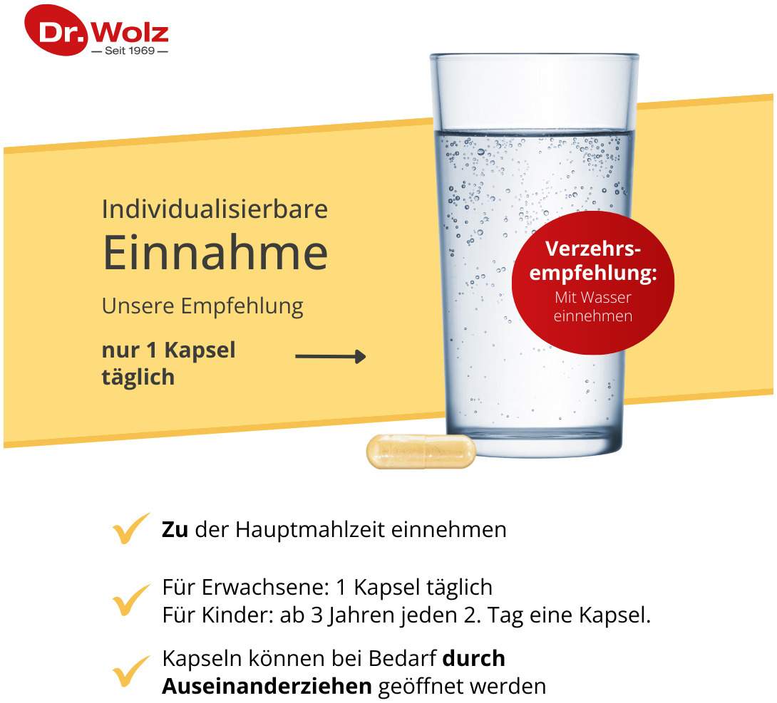 Vitamin D2 1000 I.E. Vegan 60 Kapseln