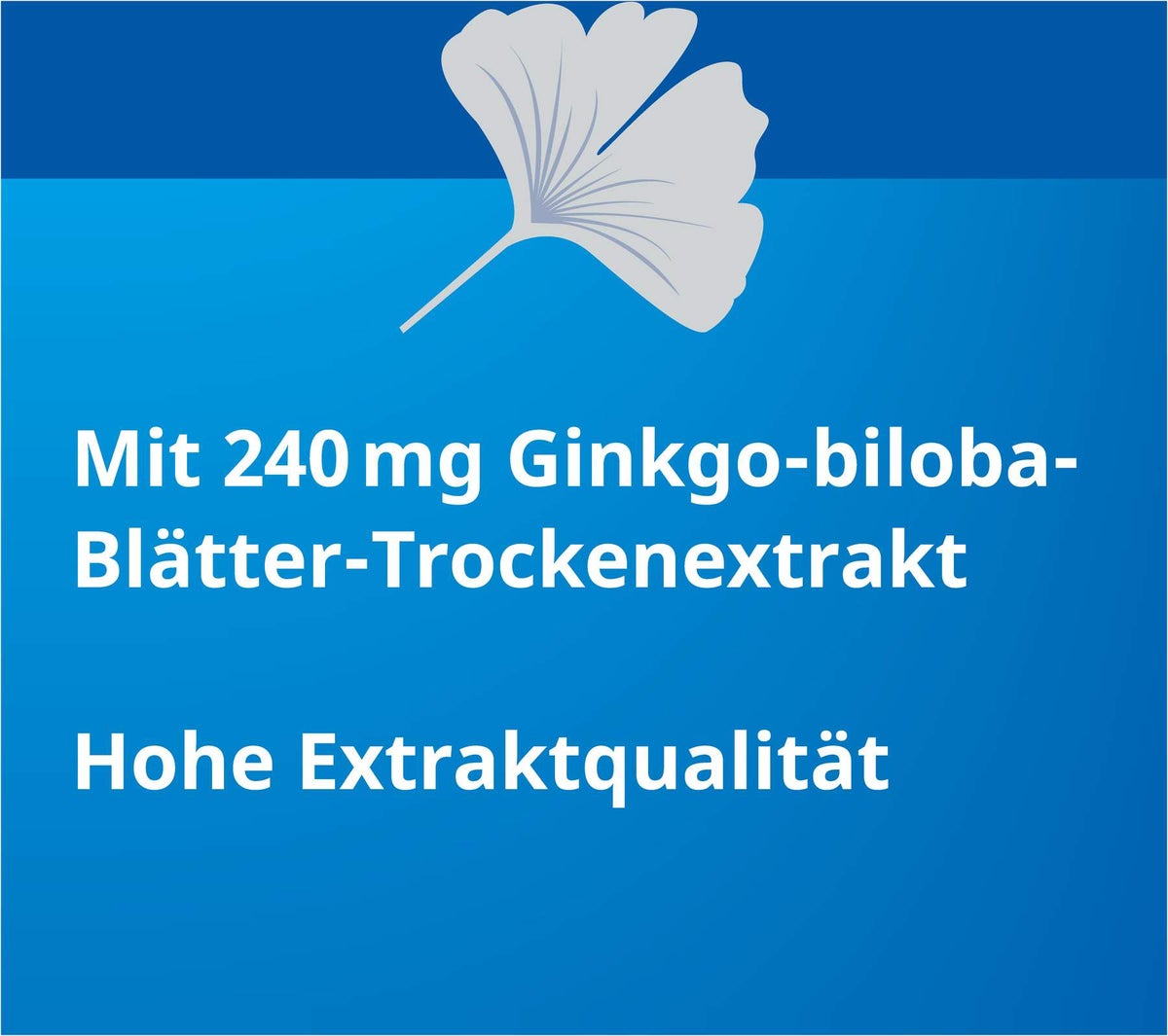 Ginkgo Stada 240 mg 120 Filmtabletten