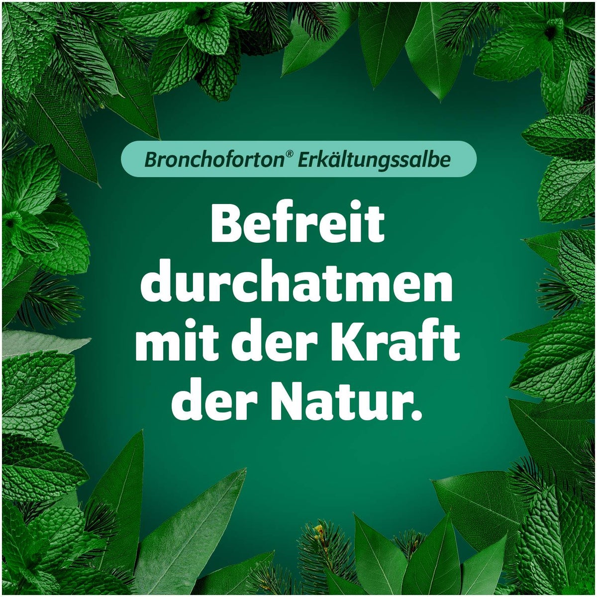 Bronchoforton Salbe 100 g