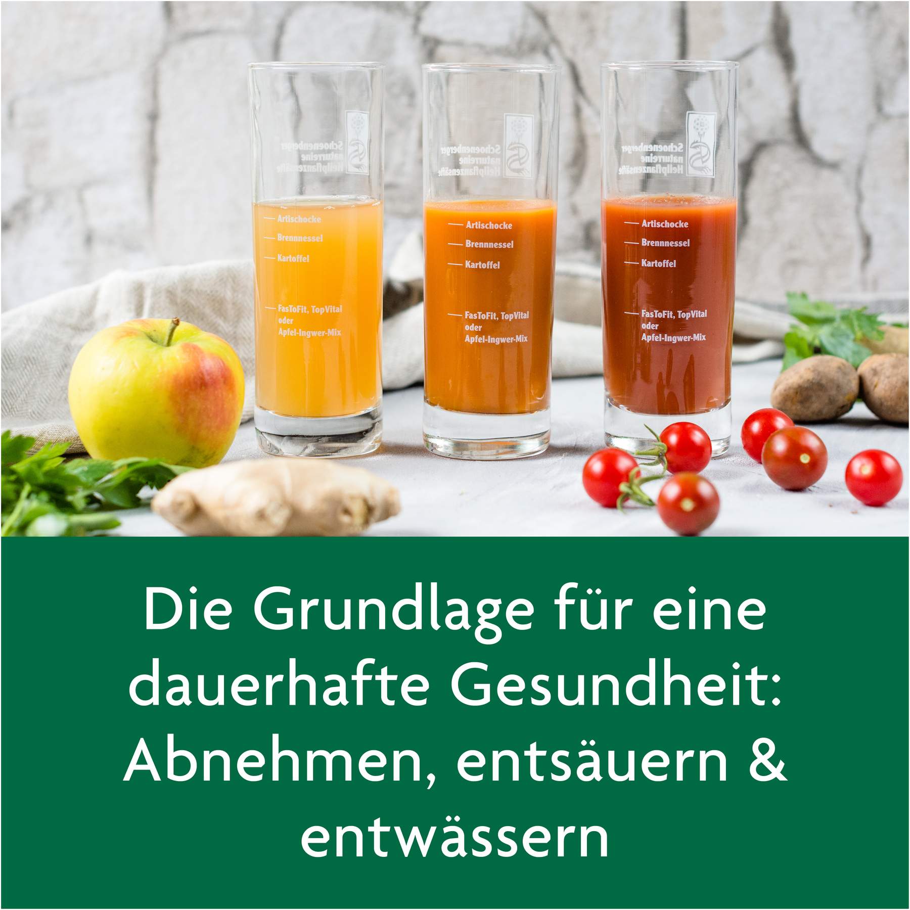 Schlankheitskur Würzige Tomate Bio Schoenenberg