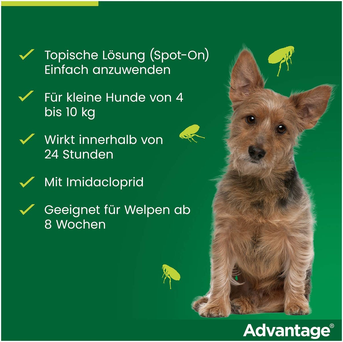 Advantage 100 Lösung für Hunde 4 - 10 kg 4 Einzeldosispipetten