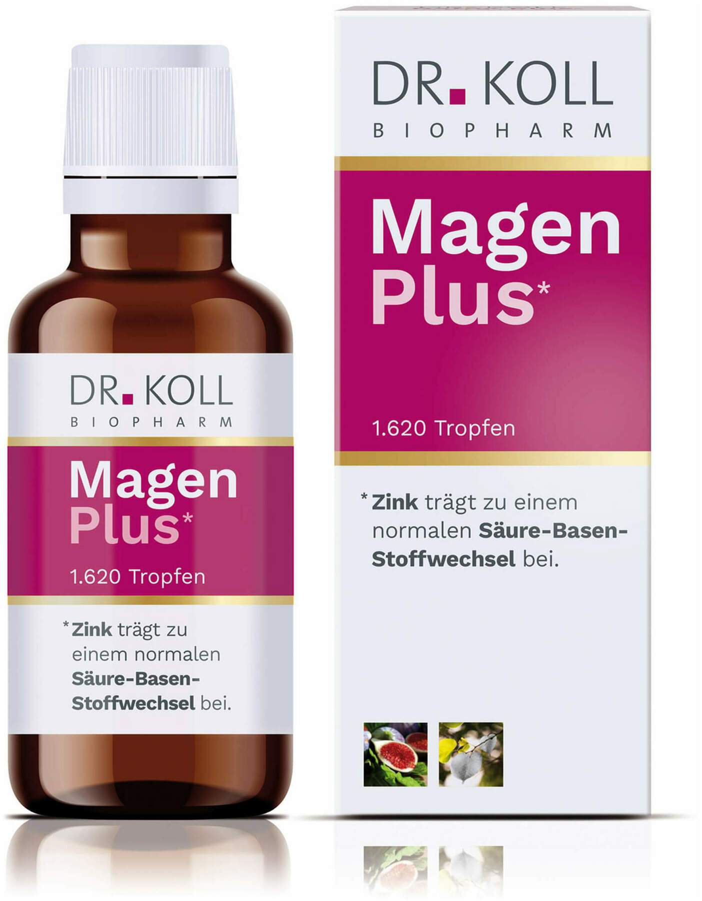 Magen Plus Dr.Koll Gemmo Feige Linde Zink Tropfen 50ml
