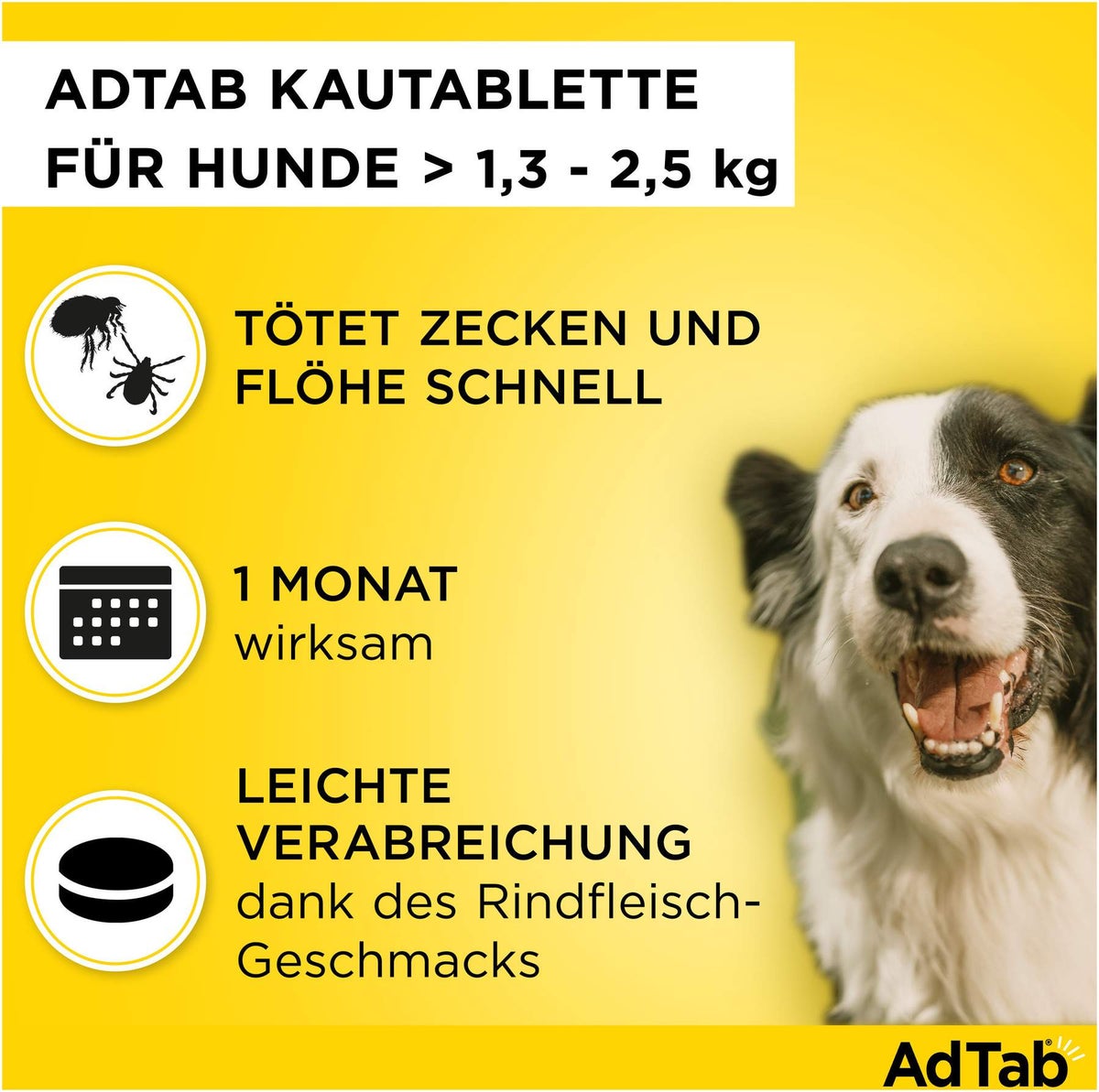 AdTab 56 mg für sehr kleine Hunde (1,3-2,5 kg) 3 Kautabletten
