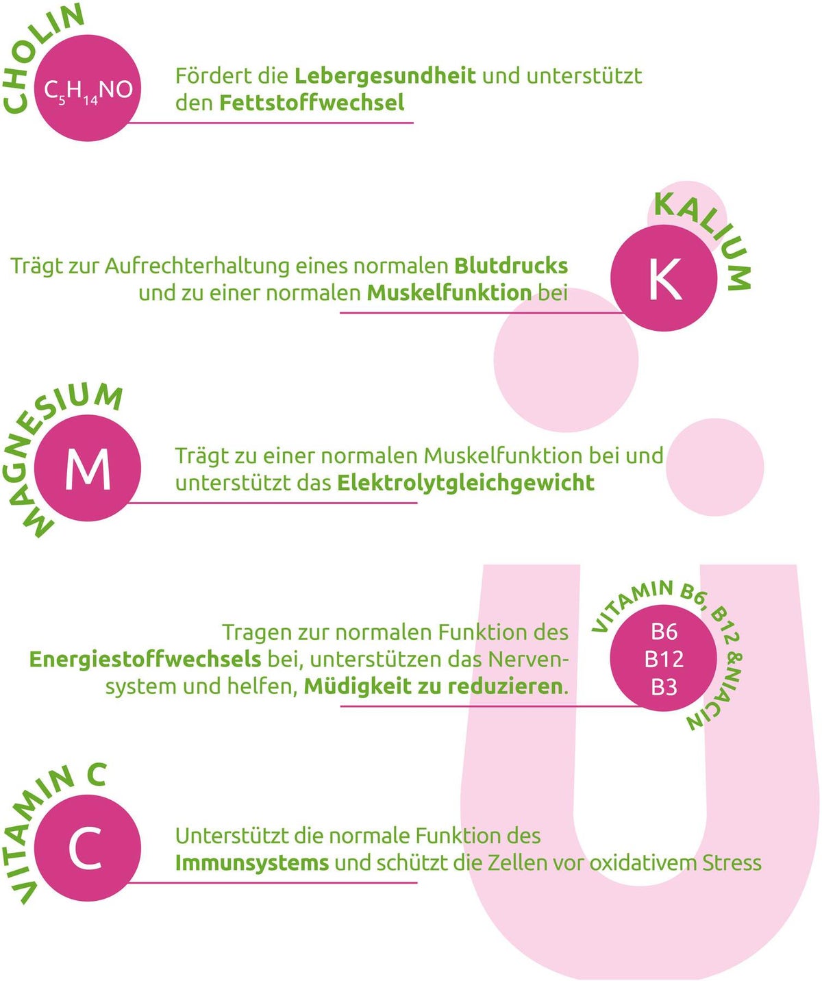 Dr. Theiss Elektrolüte aktiv Pulver 15 Beutel