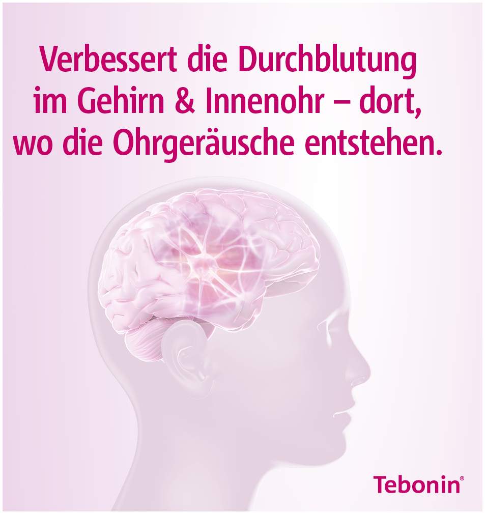 Tebonin intens 120 mg 120 Filmtabletten