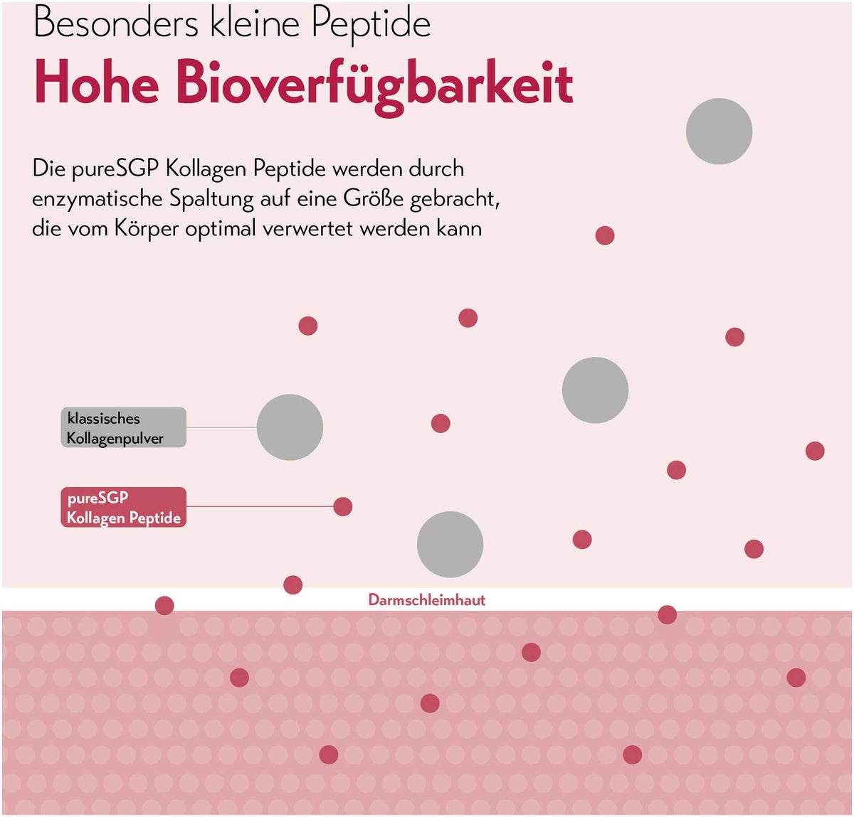 PureSGP Kollagen Peptide 300 g Pulver