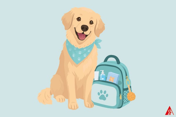 Reiseapotheke für Hunde – Tipps & Checkliste für den Urlaub