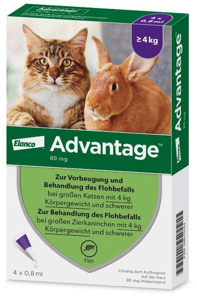 Advantage 80 mg für Katzen und Zierkaninchen über 4 kg 4 x 0,8 ml Lösung