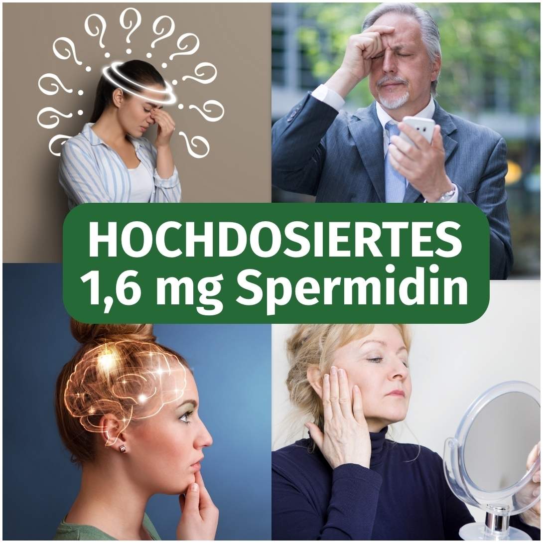 Green Naturals Spermidin 1,6 mg Vegan 240 Kapseln