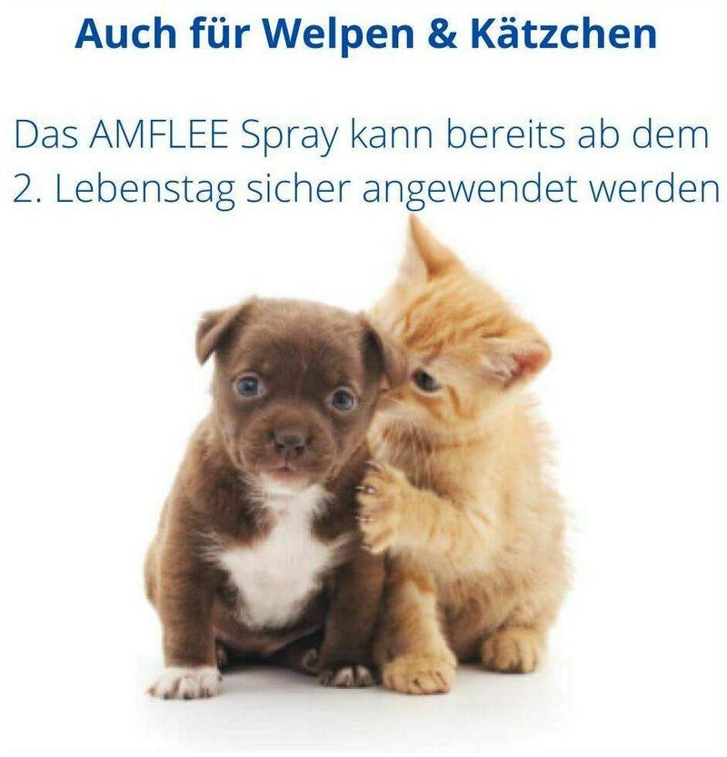 Amflee 2,5 mg Je ml Spray Für Katzen und Hunde 100 ml