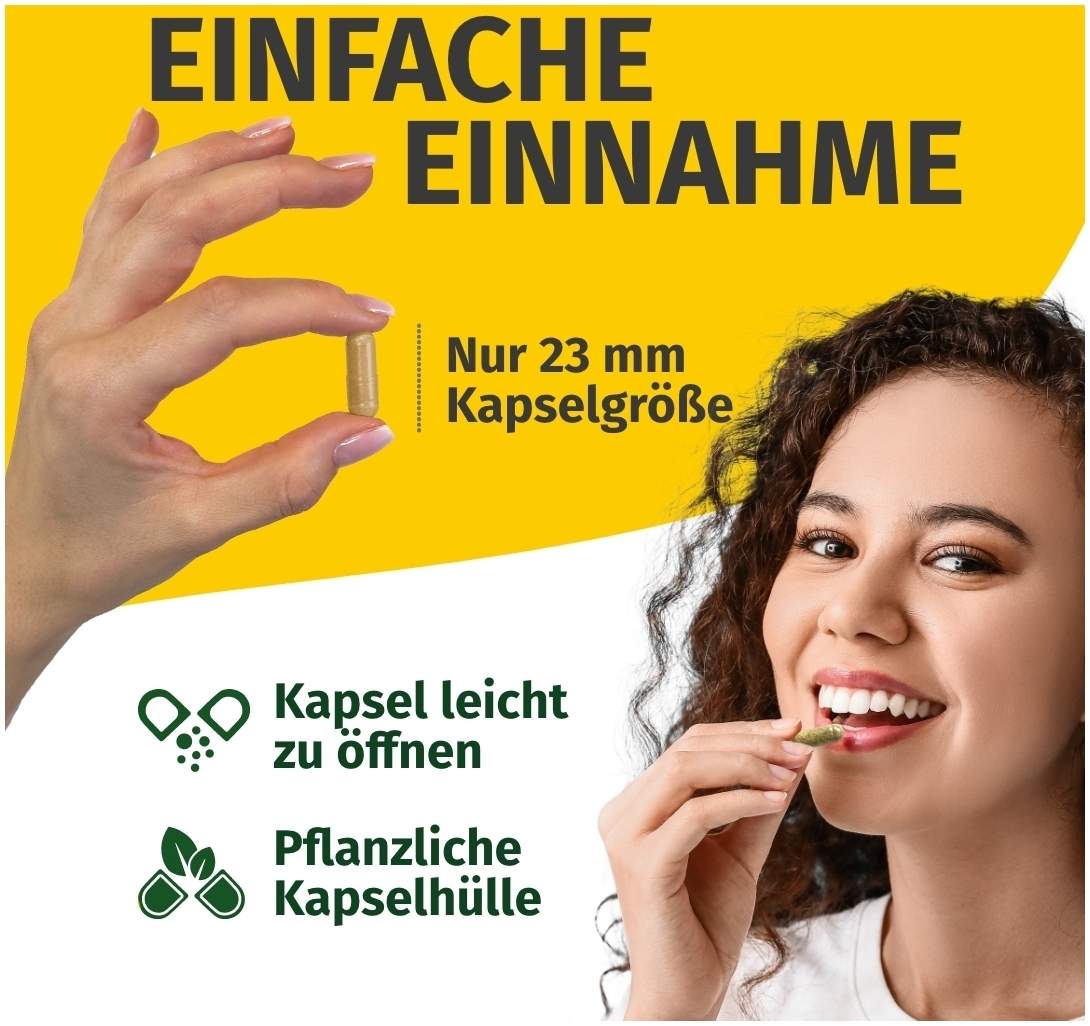 Green Naturals Rhodiola Rosea 500 mg Hochdosiert 120 Kapseln